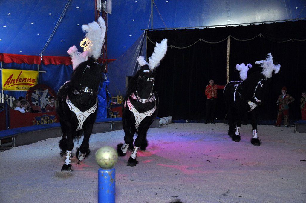 DSC_0059_JPG-1337555257