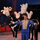 DSC_0063_JPG-1337555294