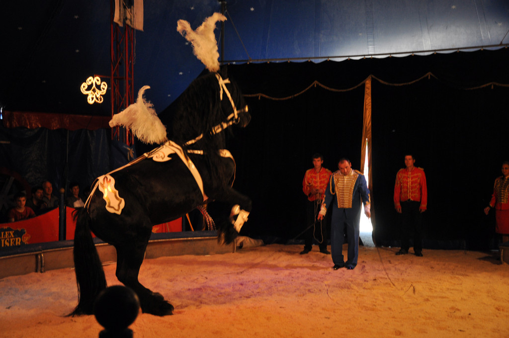 DSC_0079_JPG-1337555363