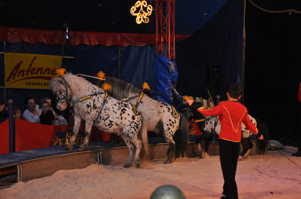 DSC_0207_JPG-1337560259