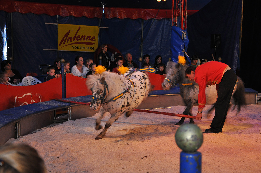 DSC_0213_JPG-1337560370