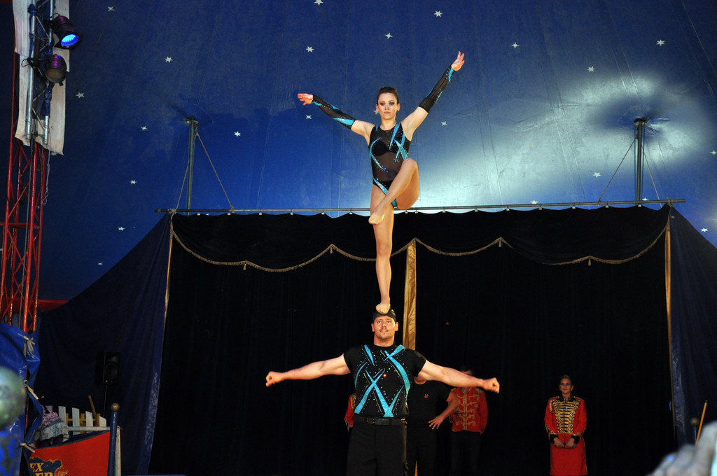 DSC_0239_JPG-1337561040