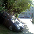 SNC01795.jpg