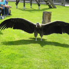 Bild 1_JPG-1337581799