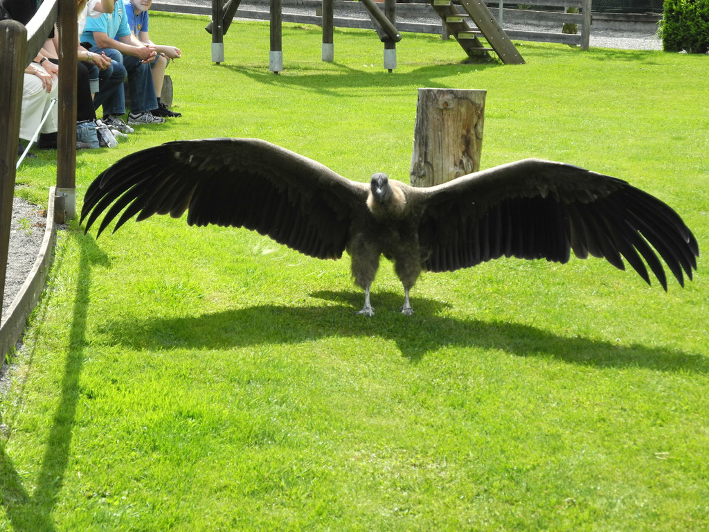 Bild 1_JPG-1337581799