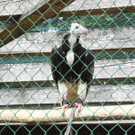 DSCN4228_JPG-1337582087