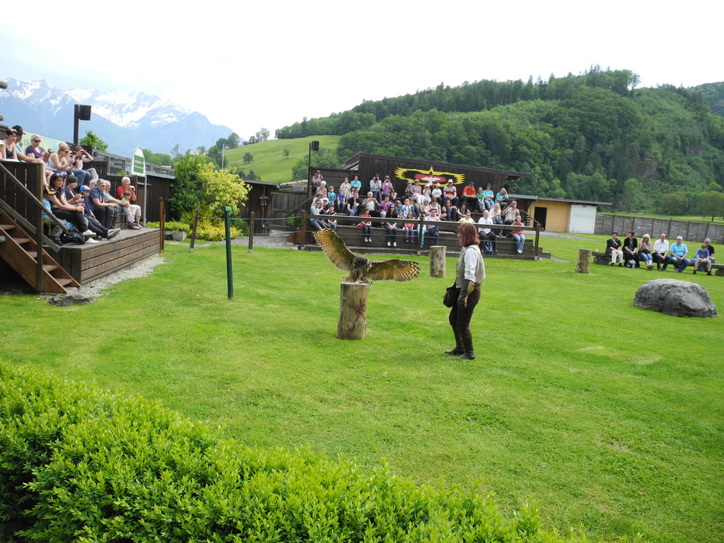 DSCN4230_JPG-1337582187