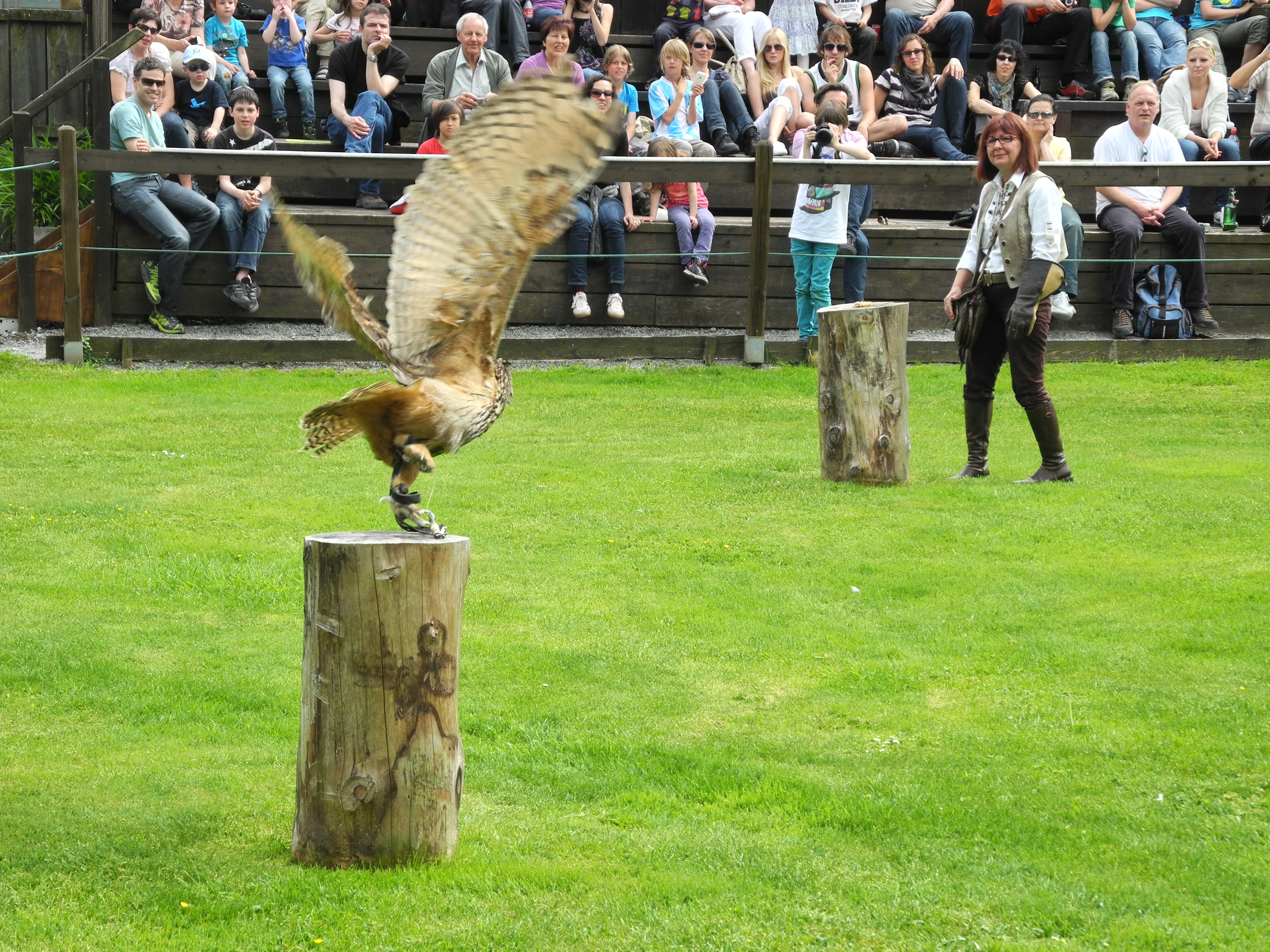 DSCN4232_JPG-1337582319