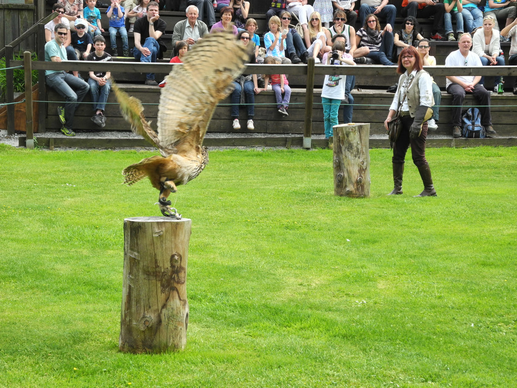 DSCN4232_JPG-1337582319