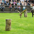 DSCN4233_JPG-1337582447