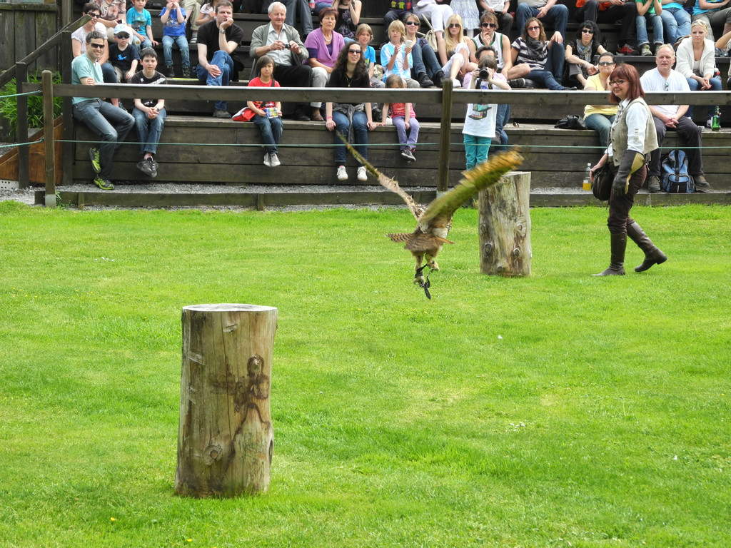 DSCN4233_JPG-1337582447