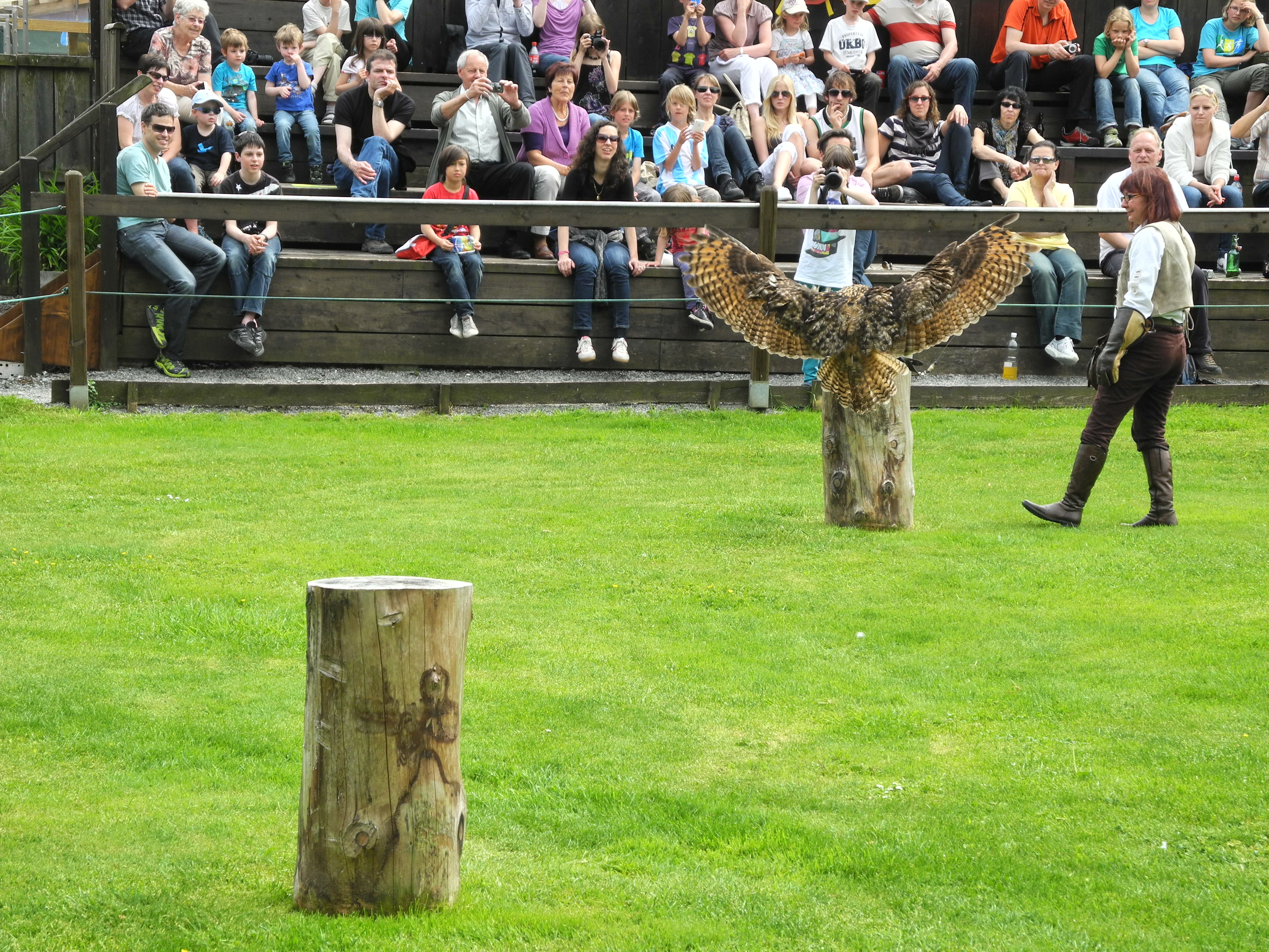 DSCN4234_JPG-1337582577