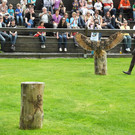 DSCN4234_JPG-1337582577