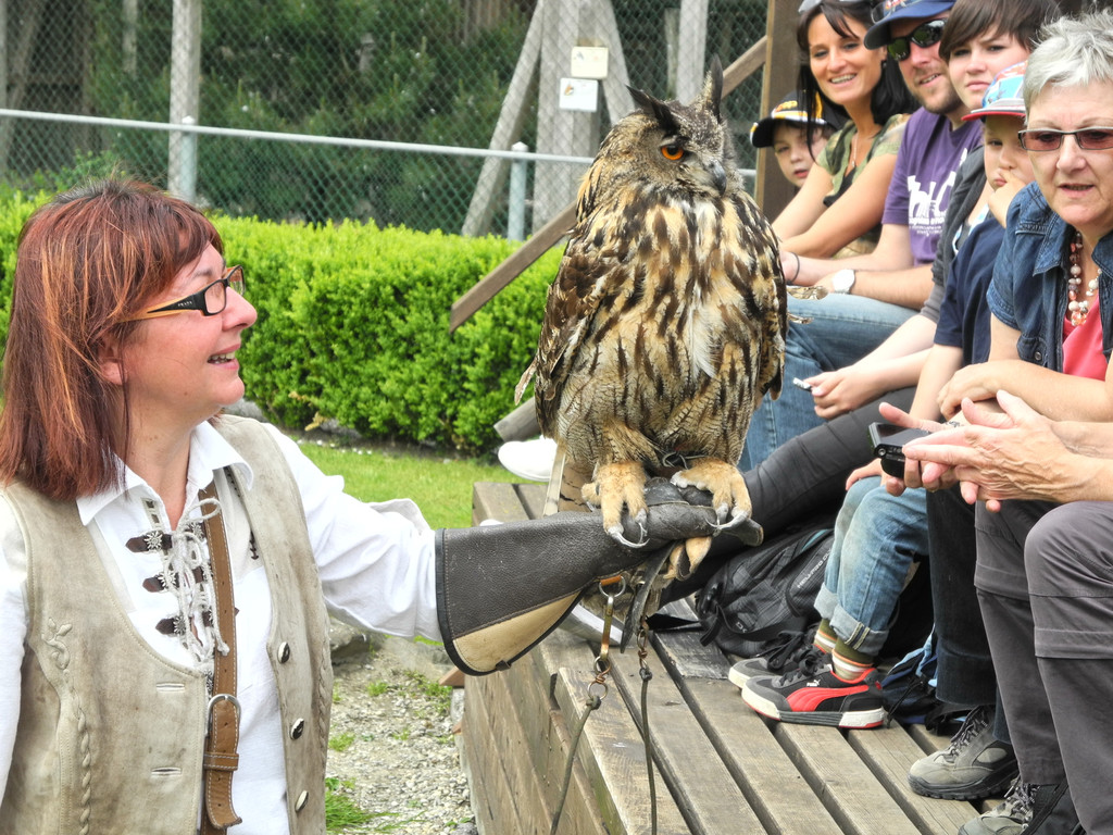 DSCN4243_JPG-1337582824