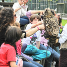 DSCN4254_JPG-1337583036