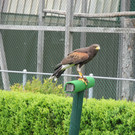 DSCN4256_JPG-1337583152