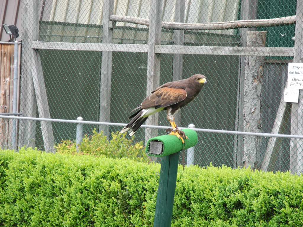 DSCN4256_JPG-1337583152