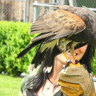 DSCN4270_JPG-1337583313