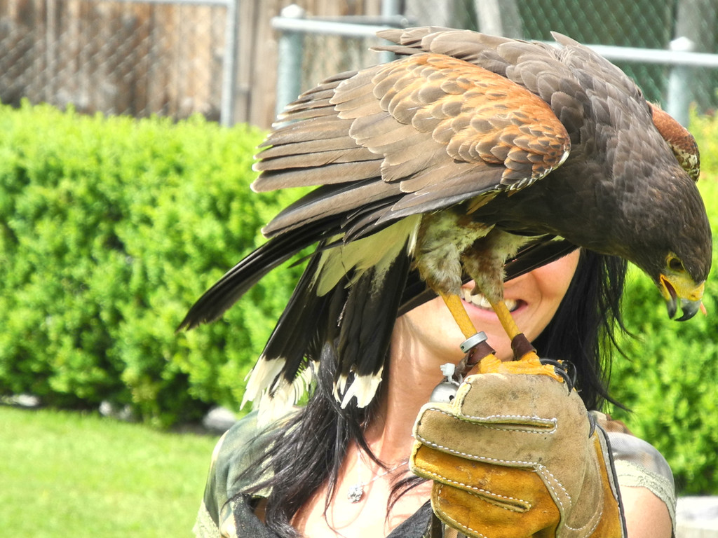 DSCN4270_JPG-1337583313