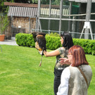 DSCN4279_JPG-1337583436