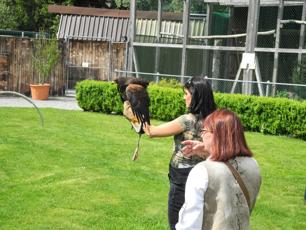 DSCN4279_JPG-1337583436