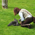 DSCN4309_JPG-1337583829