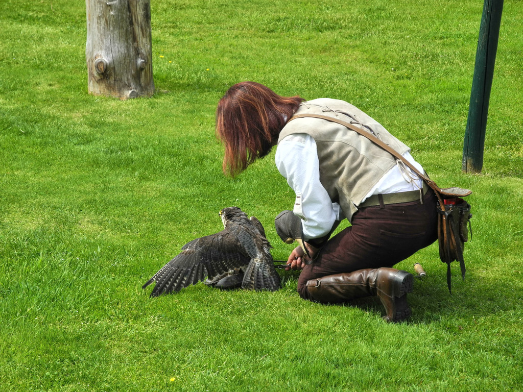 DSCN4309_JPG-1337583829