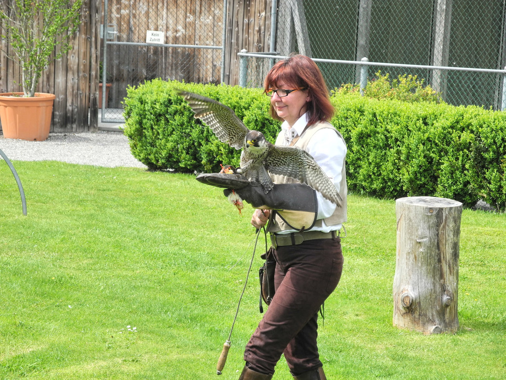 DSCN4312_JPG-1337583970