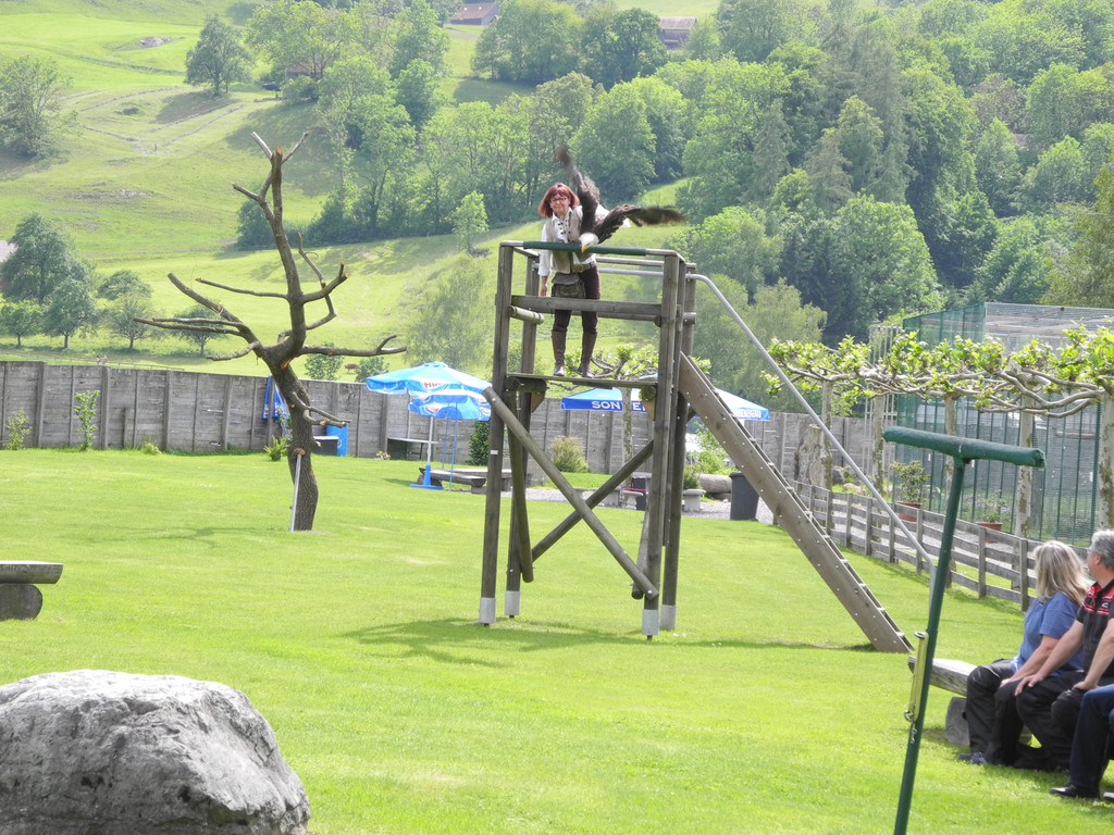 DSCN4317_JPG-1337584076