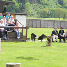 DSCN4320_JPG-1337584154