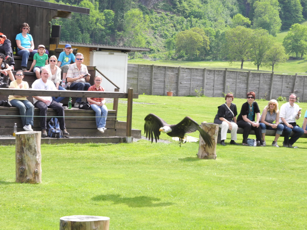 DSCN4320_JPG-1337584154