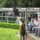 DSCN4337_JPG-1337584282