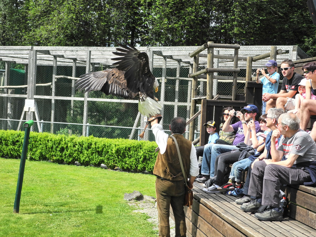 DSCN4337_JPG-1337584282