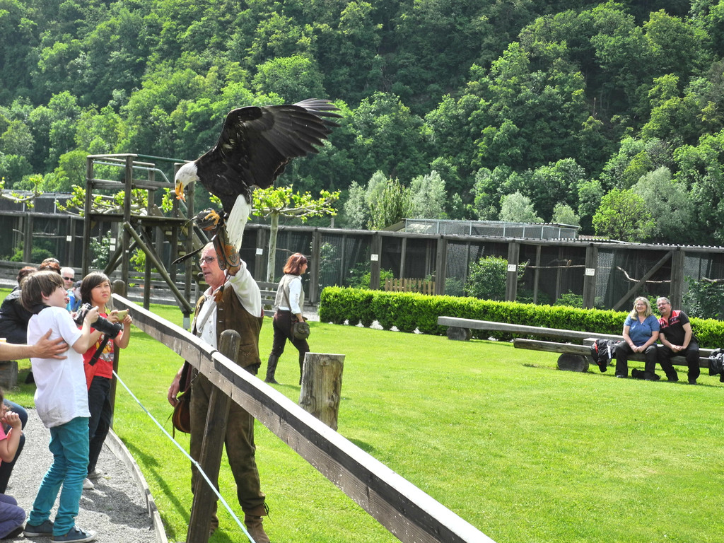 DSCN4347_JPG-1337584554