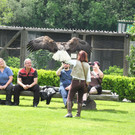 DSCN4350_JPG-1337584694