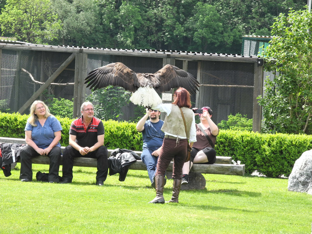 DSCN4350_JPG-1337584694