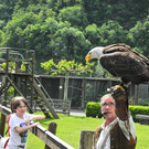 DSCN4359_JPG-1337584813