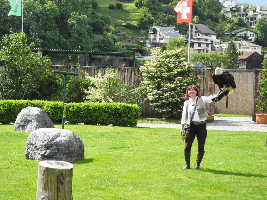 DSCN4364_JPG-1337584945