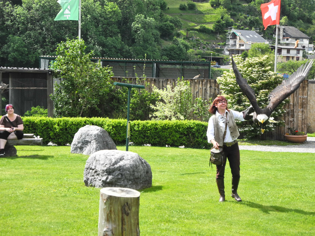 DSCN4371_JPG-1337585071