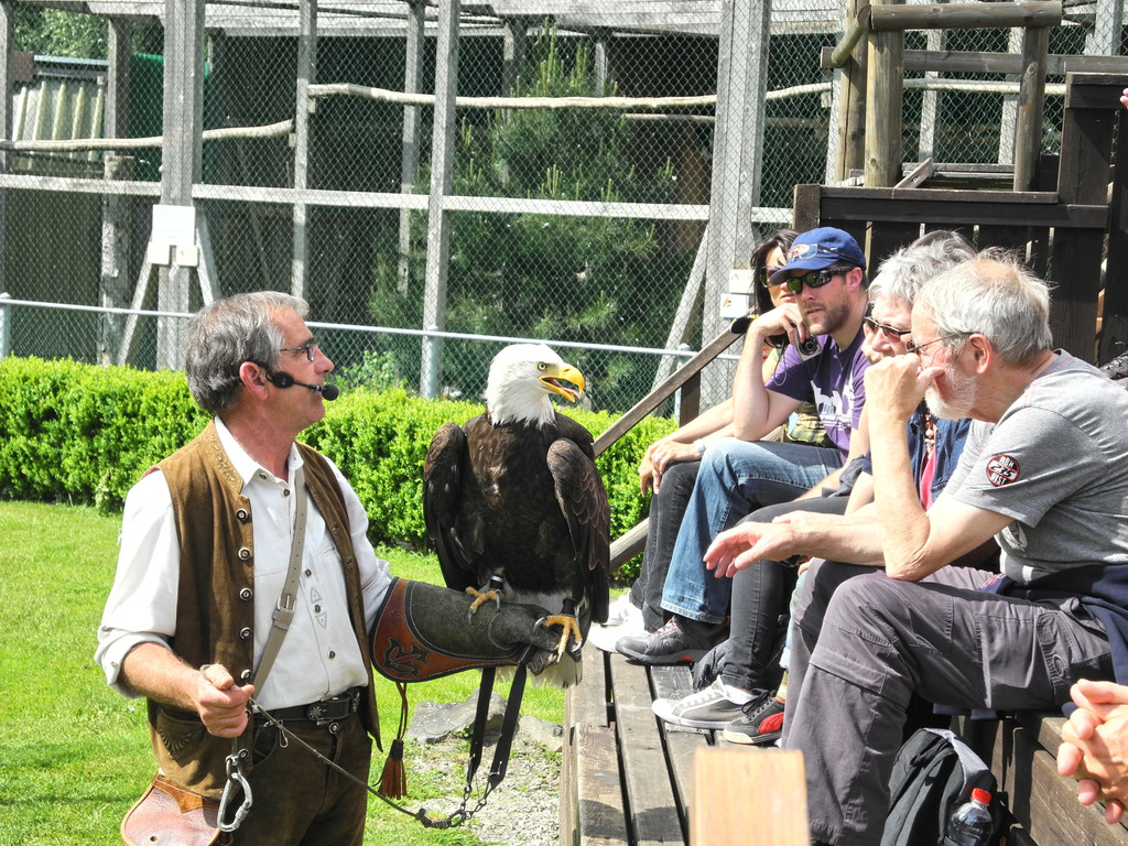 DSCN4376_JPG-1337585213