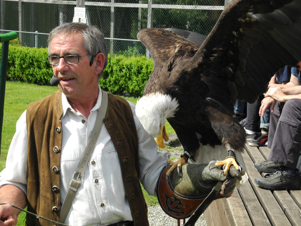 DSCN4379_JPG-1337585312