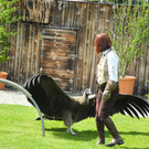 DSCN4388_JPG-1337585431