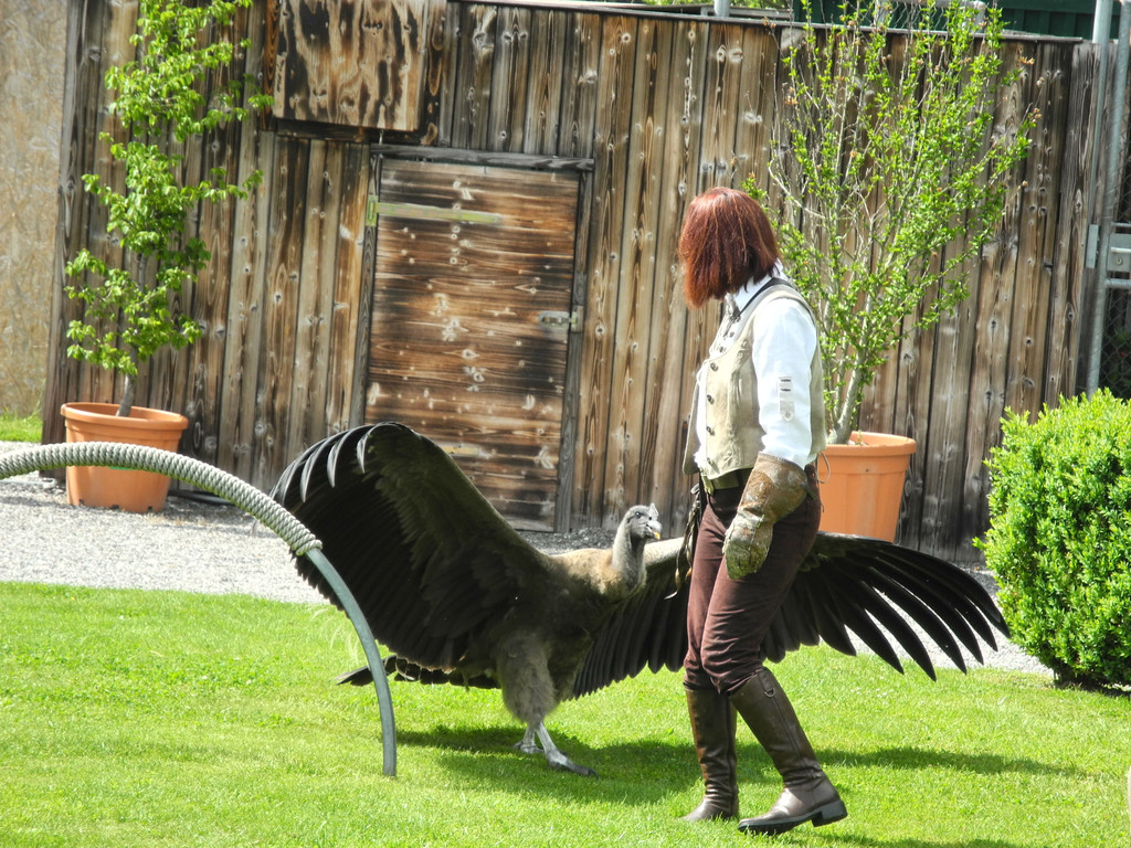 DSCN4388_JPG-1337585431