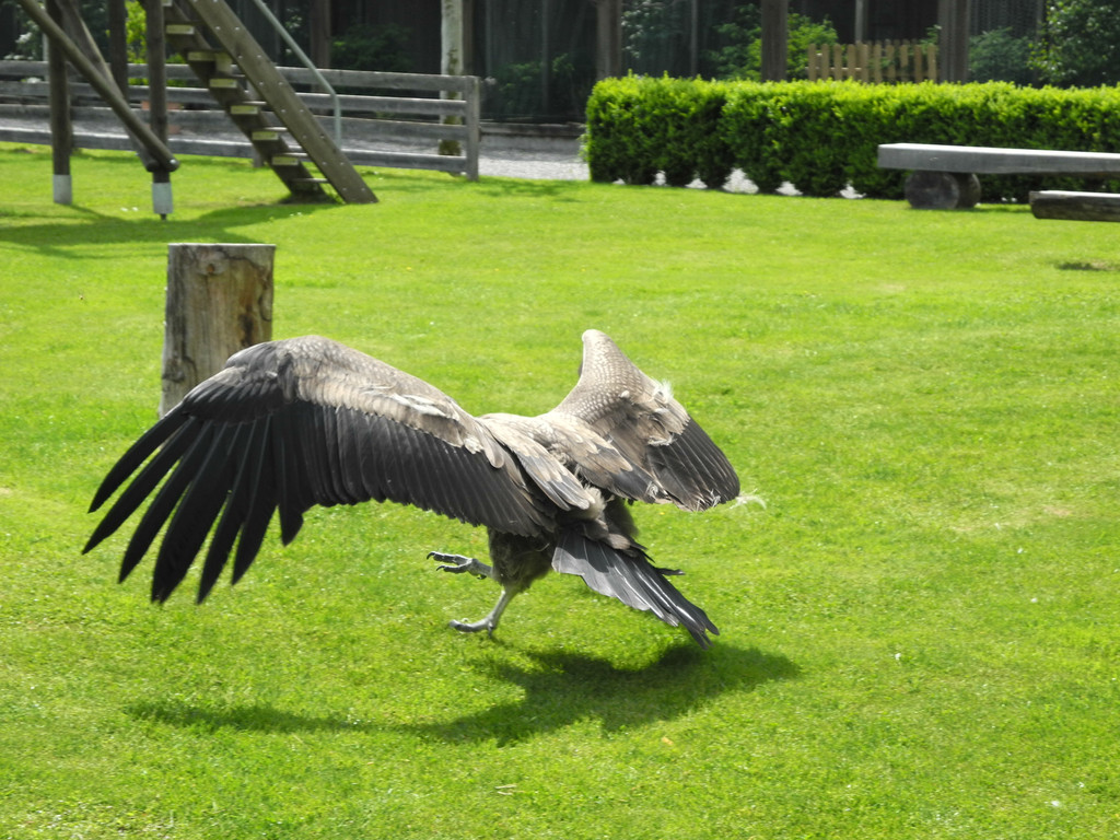 DSCN4393_JPG-1337585538