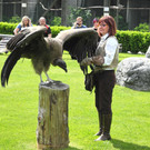 DSCN4397_JPG-1337585676