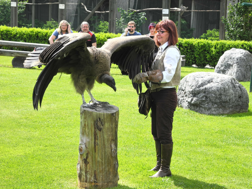 DSCN4397_JPG-1337585676