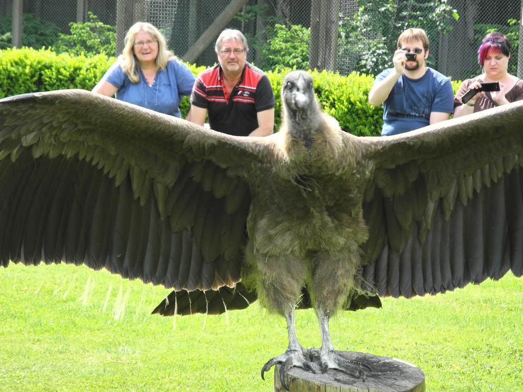 DSCN4399_JPG-1337585773