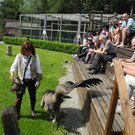 DSCN4402_JPG-1337585887