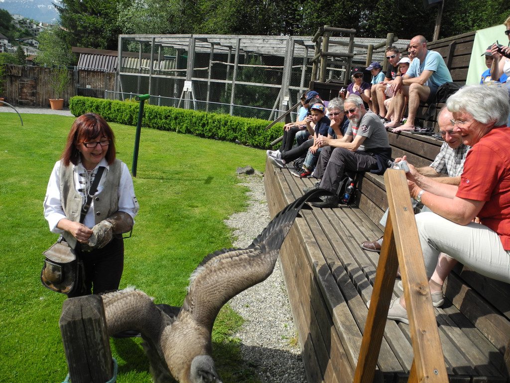 DSCN4403_JPG-1337585992