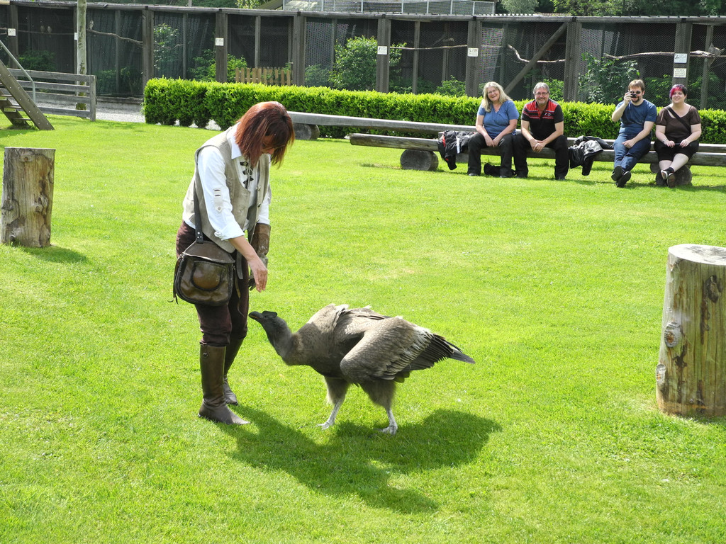 DSCN4407_JPG-1337586161